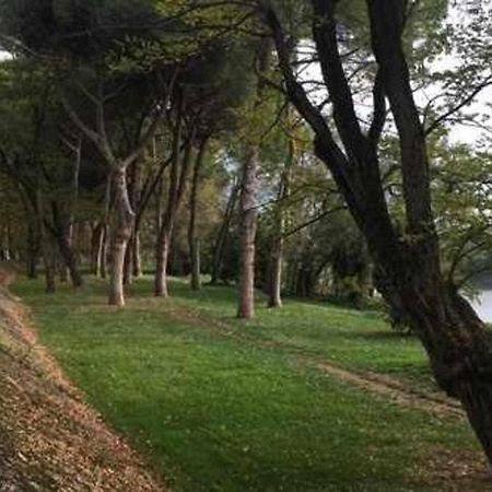 Pisa Appartamento Bonaini Dış mekan fotoğraf