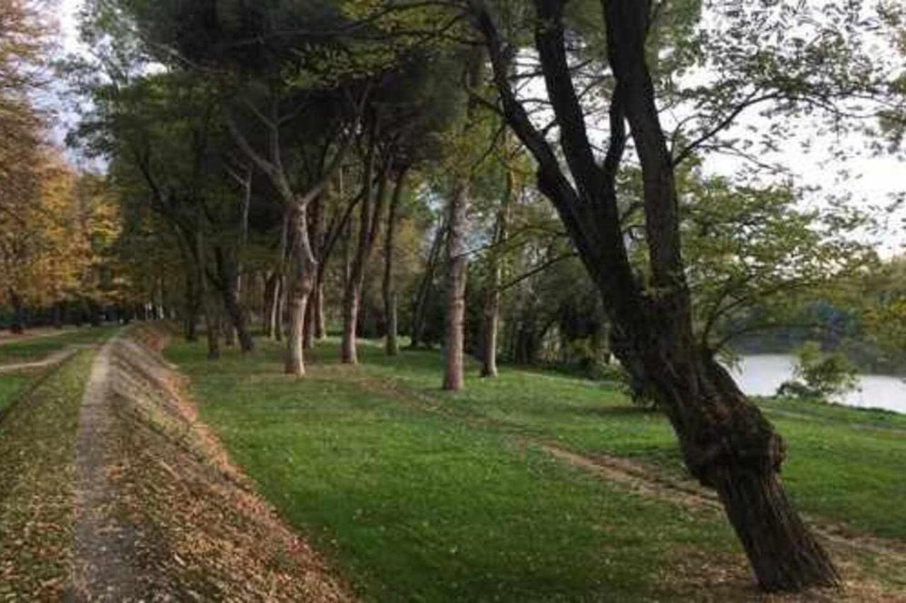 Pisa Appartamento Bonaini Dış mekan fotoğraf